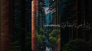 #fyp #foryou #foryoupage #unfreezemyaccount #tiktok #viral #video #grow #account #maheramzan (2)