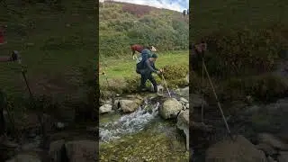 Такого нет во всем мире!