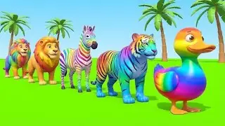 Long Slide Race With Elephant, Gorilla, Buffalo, Hippo & Tiger 🐘🦍🐃 | Funny 3D Animals Racing Game