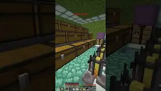 Danismp.de