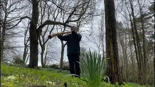 Midwinterhoorn. (Dutch Mid Winter Horn)