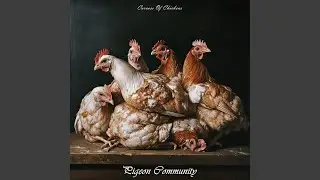 Carcass Of Chickens