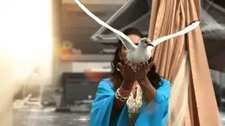 Dubai TV Ident 2013 Creek