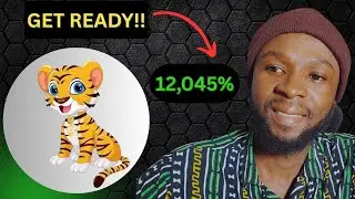 BNBTIGER CRYPTO HOLDERS | JAW dropping PUMP LOADING!!!