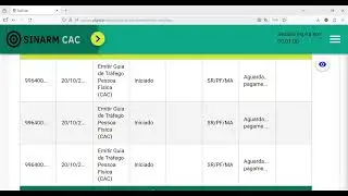 O SITE SINARM CAC VOLTOU DE ATUALIZA&Ccedil;&Atilde;O!