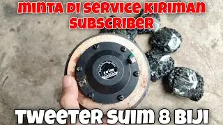 Spul ulang Twitter suim kiriman dari subscriber 