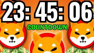 SHIBA INU: 98% OF THE SUPPLY JUST GOT STOLEN! SHIBA INU COIN NEWS UPDATE! PRICE PREDICTION ANALYSIS