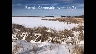 B&eacute;la Bart&oacute;k: Chromatic Invention (3): (from Mikrokosmos, Sz. 107, Volume 6, No. 145a)