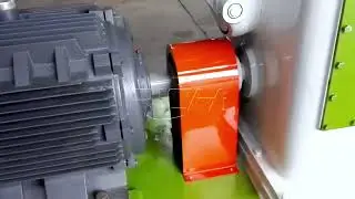 Feed Pellet Machine Full Display | Ring Die Pellet Mill Factory Tour