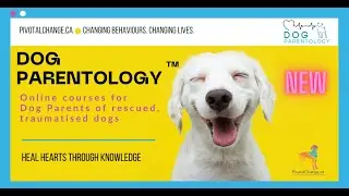 The Dog Parent Guide: Skillful Dialogue -  