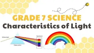 Characteristics of Light | Grade 7 Science DepEd MELC Quarter 3 Module 4
