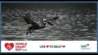 World Heart Day 2020
