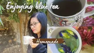 Trying to Make Blue Tea 🍵 at Home . Butterfly Blue Tea#Blue Tea