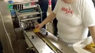 sponge cake horizontal flow packing machine