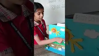 science project photosynthesis