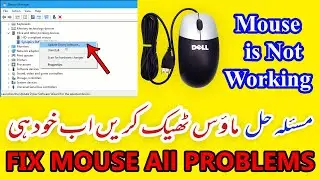 HOW TO FIX MOUSE CURSOR NOT MOVING BUT CLICK IS WORKING|(click & scroll problem) Windows 7,8,10