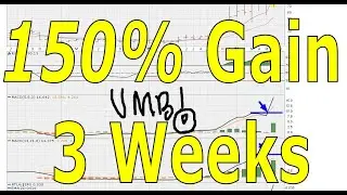 150% Gain In Three Weeks - #1411