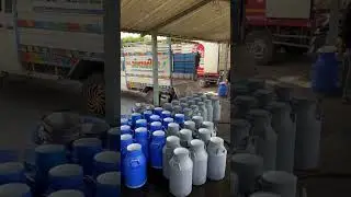 #buffelo Girdhara dairy farm
