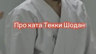 Про ката Текки Шодан #каратэ #karate #top #tekkishodan #kata #dodjowhitetiger #додз&euml;белыйтигр