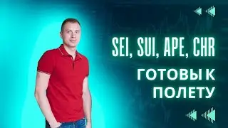 SEI, SUI, APE, CHR готовы к полету