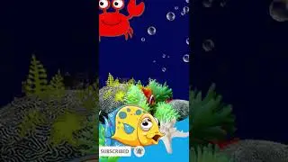 Relaxing Music, Fish Lullaby Shorts #982 #fish #relaxingmusic #sleepsounds #aquarium #lullaby #sleep