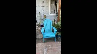 PolyTEAK King Size Adirondack Chair Over-Sized, Weather Resistant, Made from Special Formulated Poly