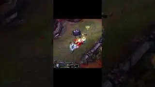 ZED HIGHLIGHTS