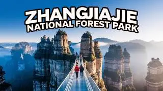 Zhangjiajie National Forest Park &ndash; China&rsquo;s Avatar Mountains & Glass Bridge Adventure
