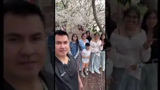 #Cherry Blossom at Redwing Park Virginia Beach