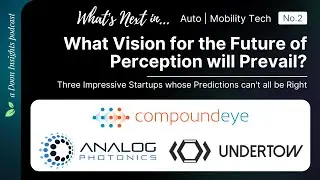 What Vision for the Future of Perception will Prevail?