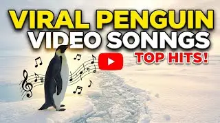 The Wandering Penguin 🐧 | Viral Penguin Video | Original Music &ndash; VelvetVoice #penguin #viralpenguin 