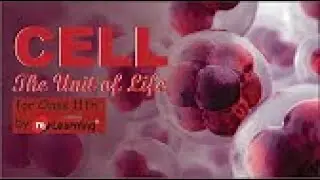CELL THE UNIT OF LIFE: NUCLEUS - 16 For Class 11th and COMED K