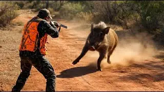 Hunting Wild Boar -Season :2026 || -KEMISSET -SIDI BOUDARGA - PART 5