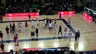 Mulhouse Mustangs - Saint Quentin - Coupe de France