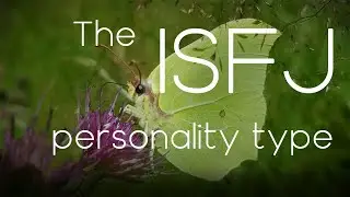 What is the ISFJ personality like? - (MBTI)