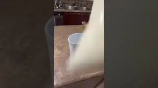 The Secrets Of Canadian Bagged Milk Revealed - Our Unique Process