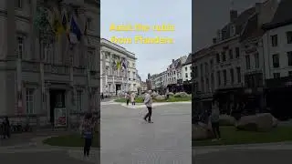 Aalst #vlaanderen #vlaams #shortsvideo #philippines
