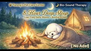 8 Hour Dog Sleep Music 💤 Heartbeat & Campfire ASMR to Cure Separation Anxiety (Stop Barking)