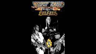BEE GEES TRIBUTE -  20th Anniversary 2005-2025