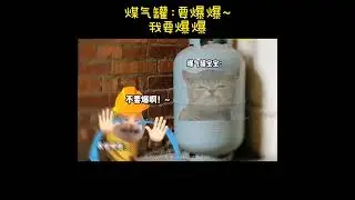 閻王:我家生死簿什麼時候變夜店風 #猫meme  #真实还原 #搞笑  #猫meme小剧场  #万万没想到  #内容过于真实  #funny #fyp #热门 #catmemes