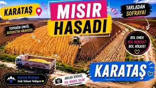 ÇUKUROVA MISIR HASADI HAVADAN ÇEKİM