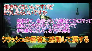 🔵【クラッシュの解答に感動して涙】働きたくないんですけどどうしたらいいですか【タートルトーク】東京ディズニーシー