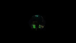 Nearline Showcase Video