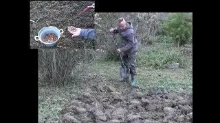 Preparazione terreno per la semina senza attrezzi meccanici tutorial