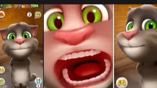 Cat gem cat 😺😺😺 gem