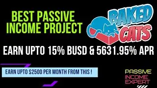 Make 15% daily profit with Baked Cats & 5631.95% APY
