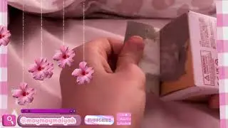 Opening a anamal bakery box