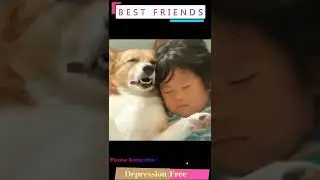 TikTok mashup | baby animals 79| cute animals 79v | cat 2022 | Funny videos | meme | memes | Part 58