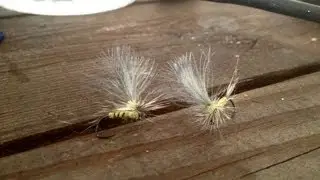 Flugbindning - Dagsl&auml;nda Dun