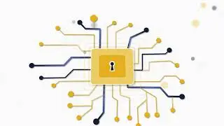 What is DataVisor?